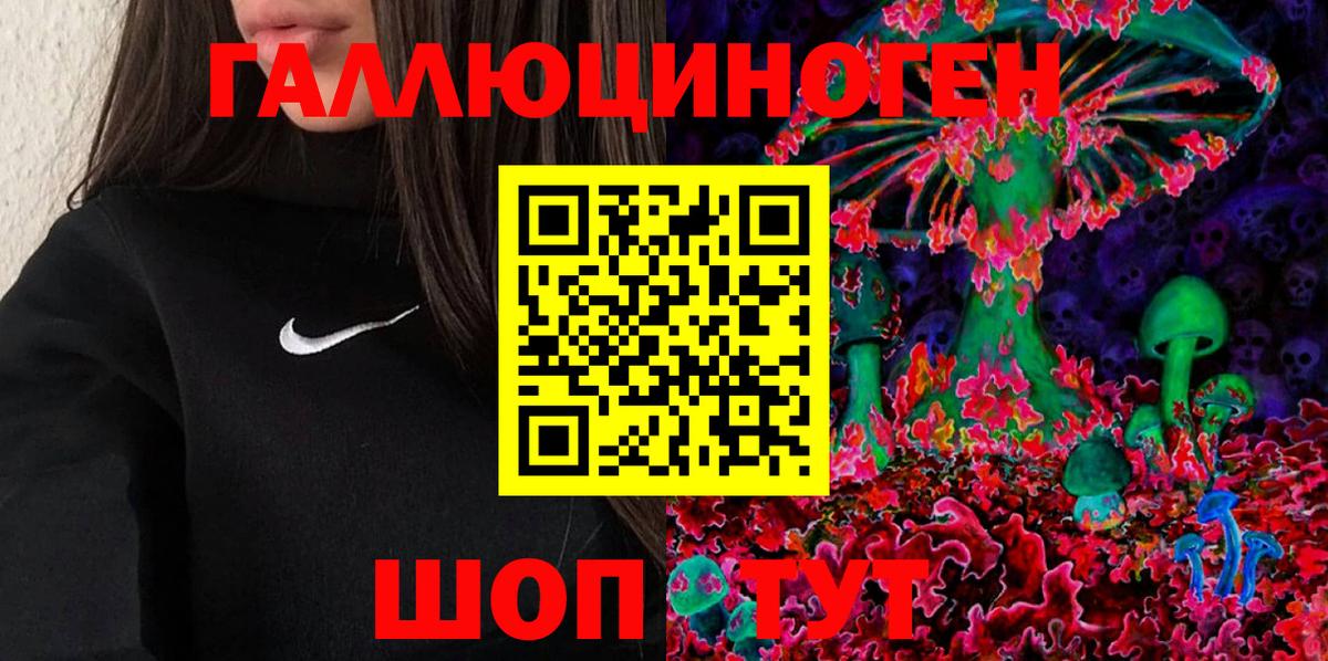Галлюциногенные грибы Psilocybe Холмск